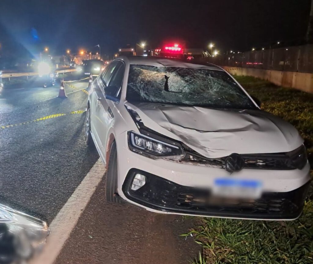 Pedestre morre atropelado ao tentar atravessar a Rodovia Anhanguera em Ribeirão Preto